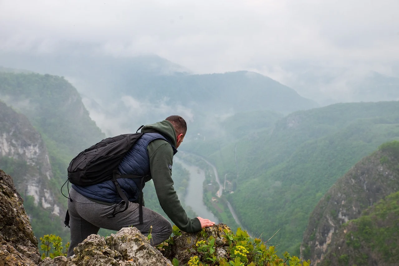 People hiking in forest